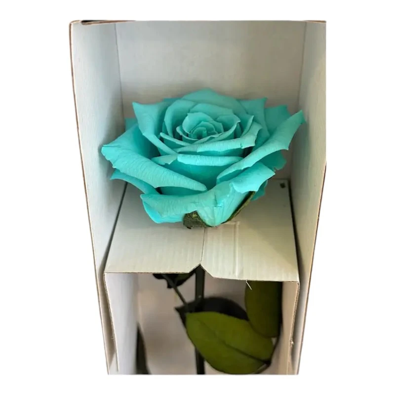 Естествена вечна роза в кутия, Stem Blu 02