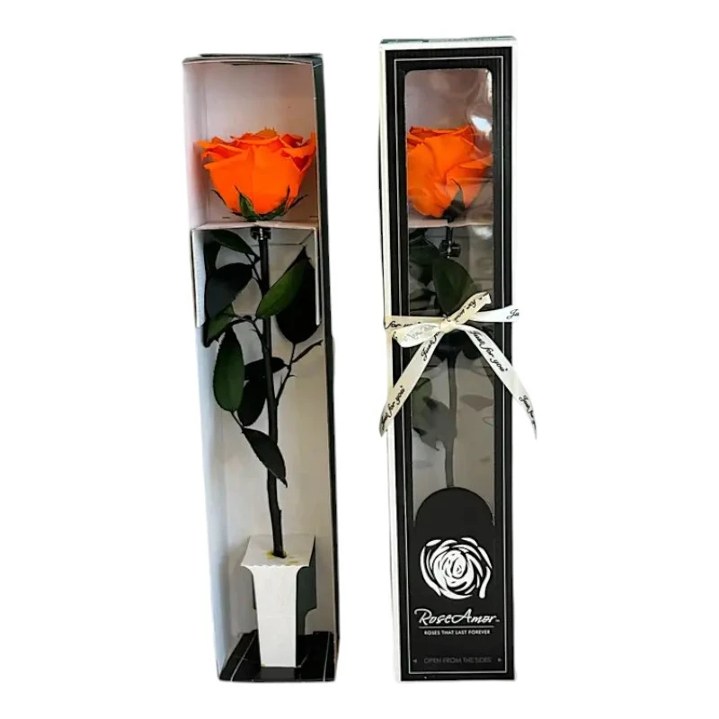Естествена вечна роза в кутия, Stem Ora 02