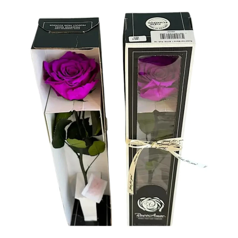 Естествена вечна роза в кутия, Stem Pur 02