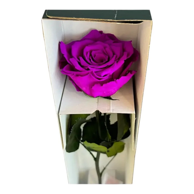 Естествена вечна роза в кутия, Stem Pur 02