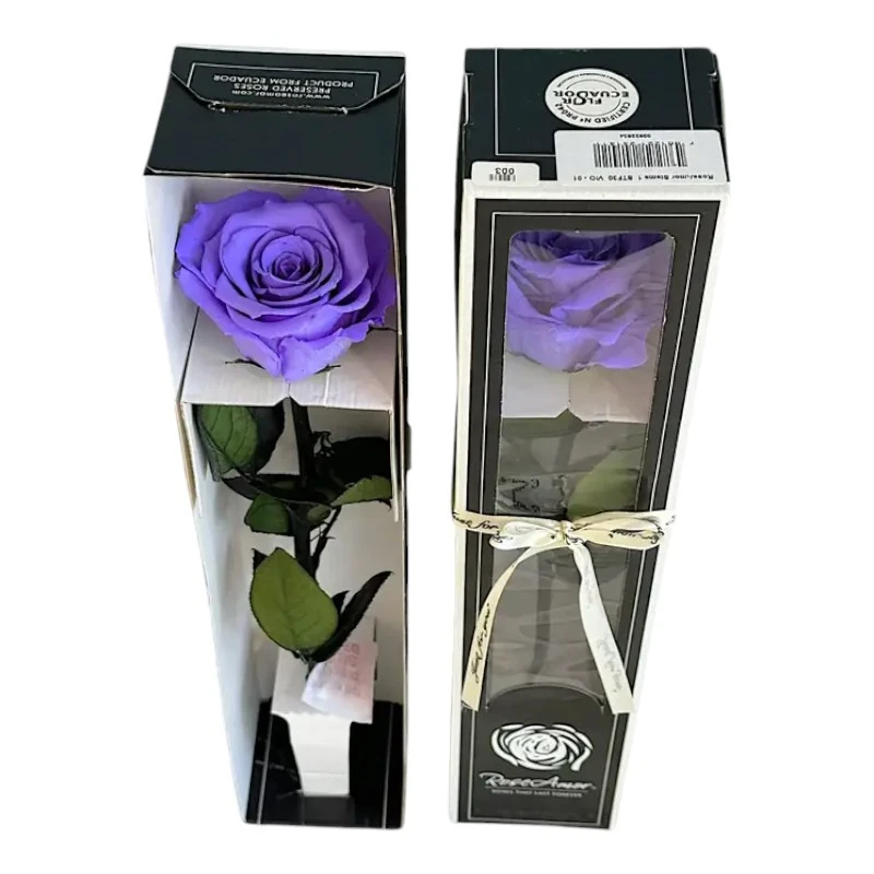 Естествена вечна роза в кутия, Stem Vio 01