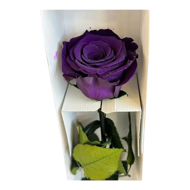 Естествена вечна роза в кутия, Stem Pur 01