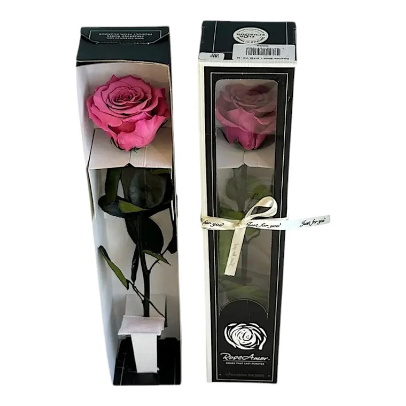 Естествена вечна роза в кутия, Stem Vio 02