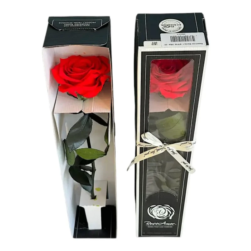 Естествена вечна роза в кутия, Stem Ora 03