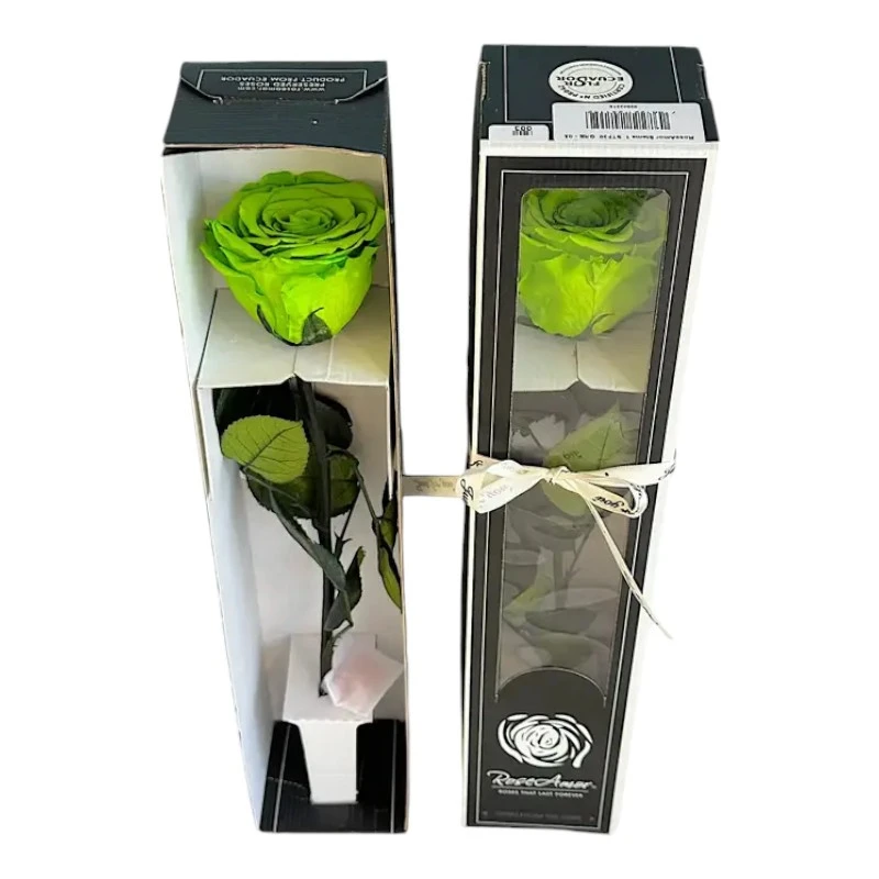 Естествена вечна роза в кутия, Stem Gre 05