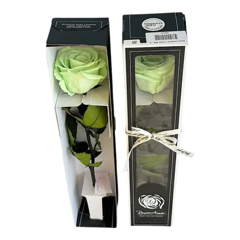 Естествена вечна роза в кутия, Stem Gre 04
