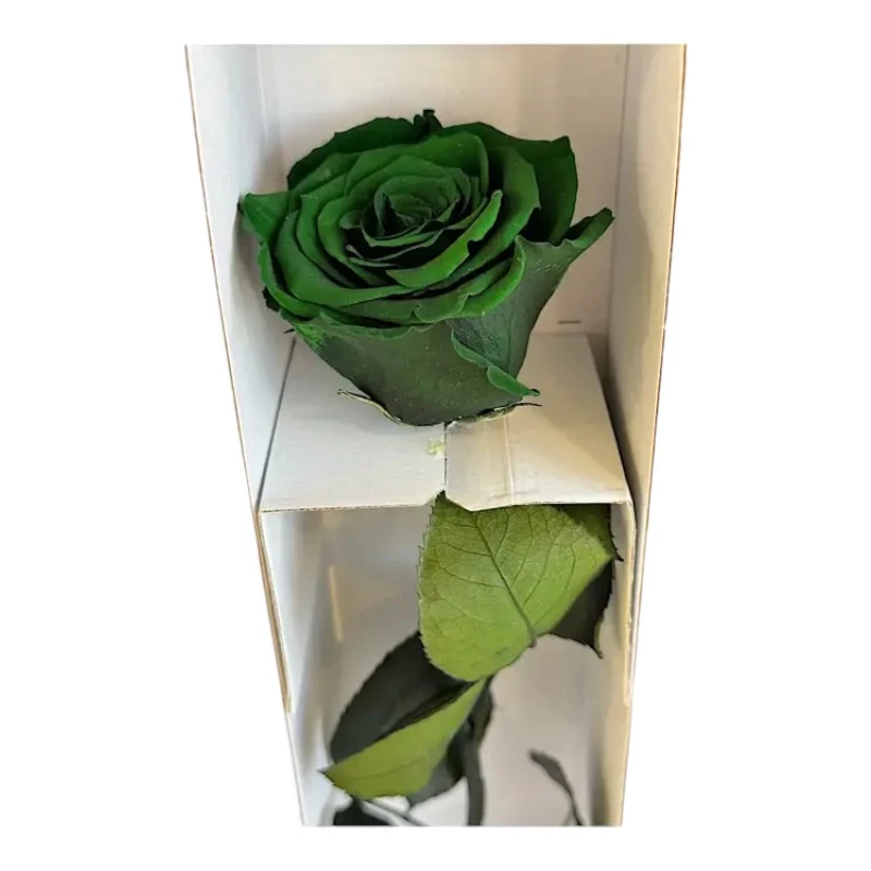 Естествена вечна роза в кутия, Stem Gre 02