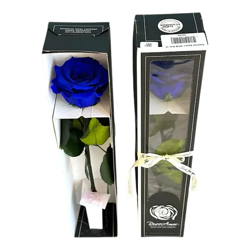 Естествена вечна роза в кутия, Stem Blu 03