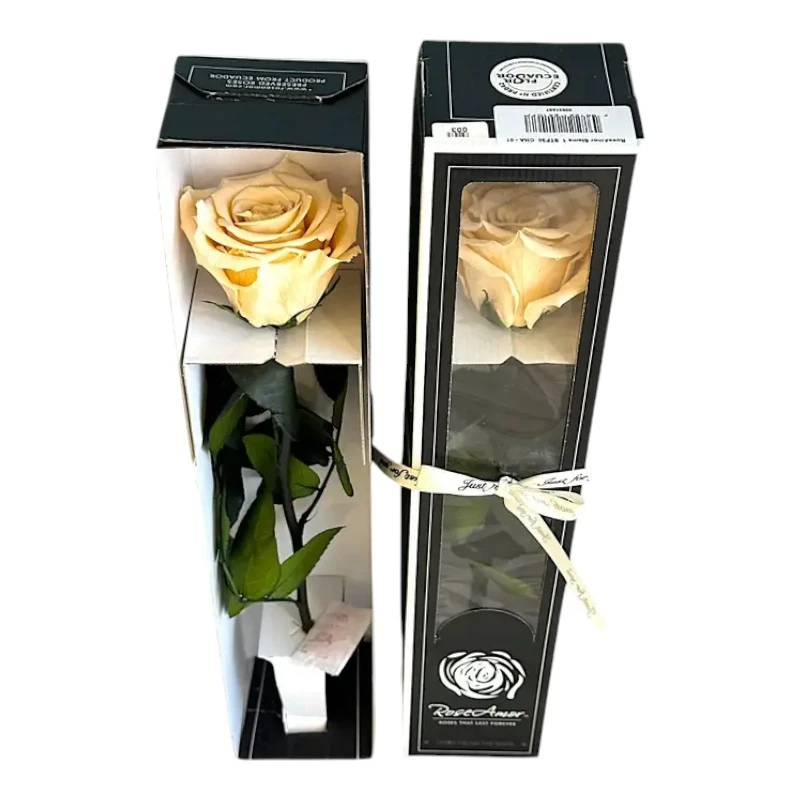 Естествена вечна роза в кутия, Stem Cha 01