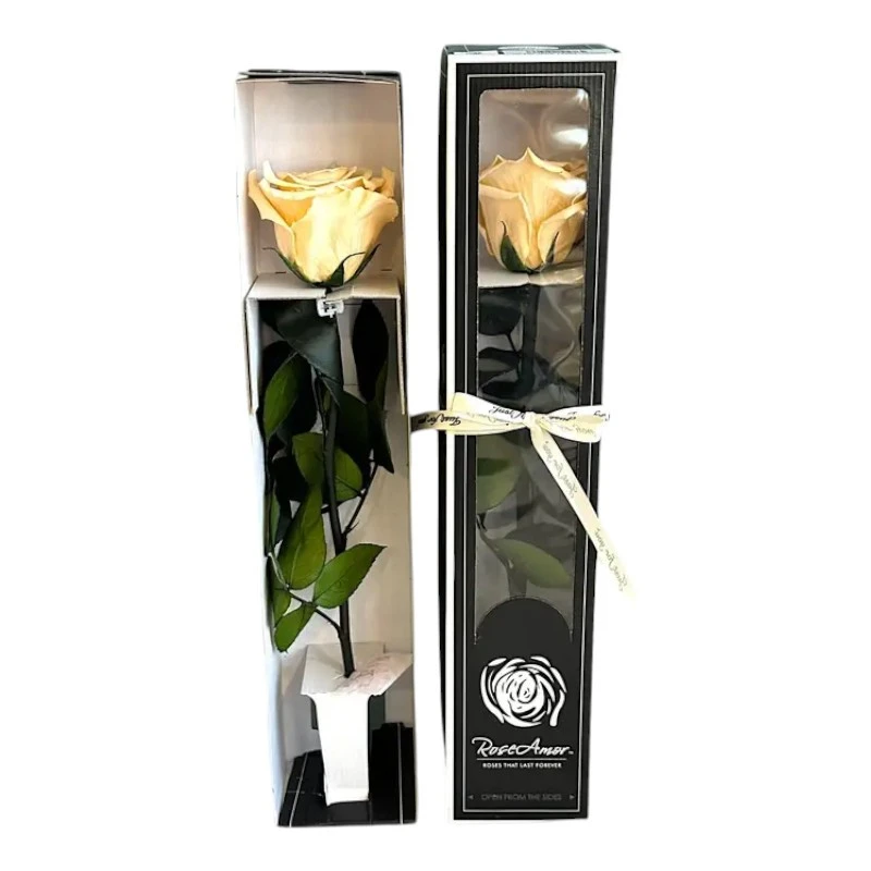 Естествена вечна роза в кутия, Stem Cha 01