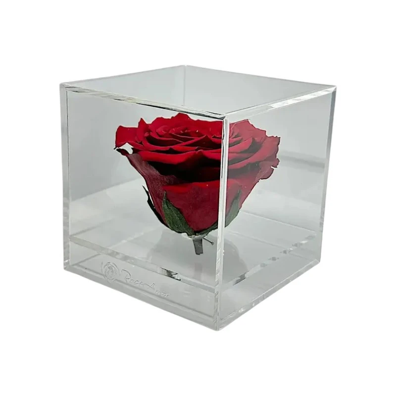 Луксозна кутия с естествена вечна роза, GB12 Red 01