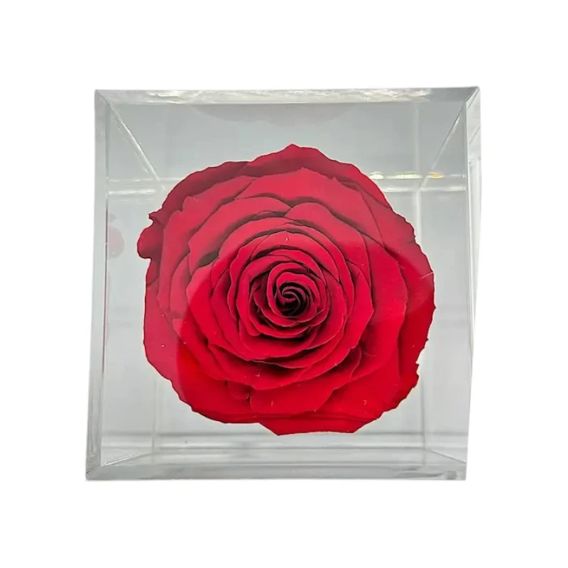 Луксозна кутия с естествена вечна роза, GB12 Red 01