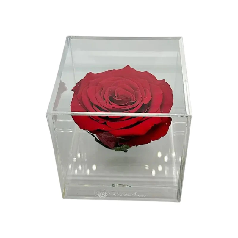 Луксозна кутия с естествена вечна роза, GB12 Red 01