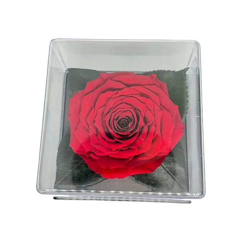 Луксозна кутия с естествена вечна роза, GB3 Red 01