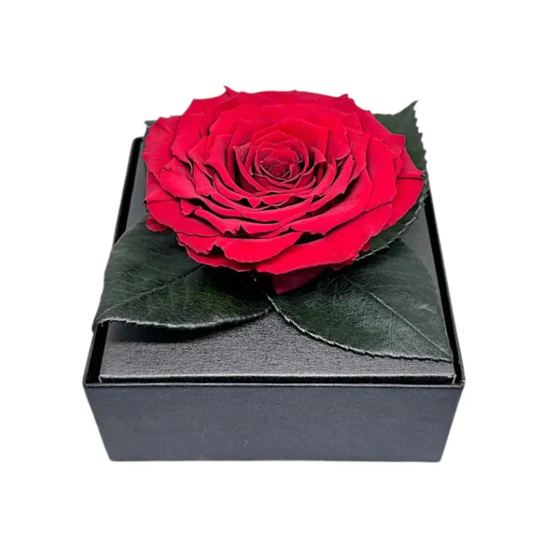 Луксозна кутия с естествена вечна роза, GB3 Red 01