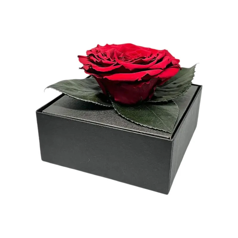 Луксозна кутия с естествена вечна роза, GB3 Red 01