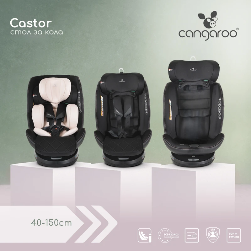 Стол за кола Castor сив