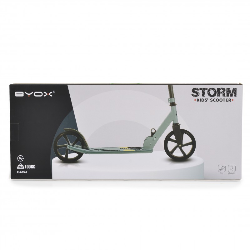 Тротинетка Storm Rosy