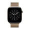 Milanese Loop